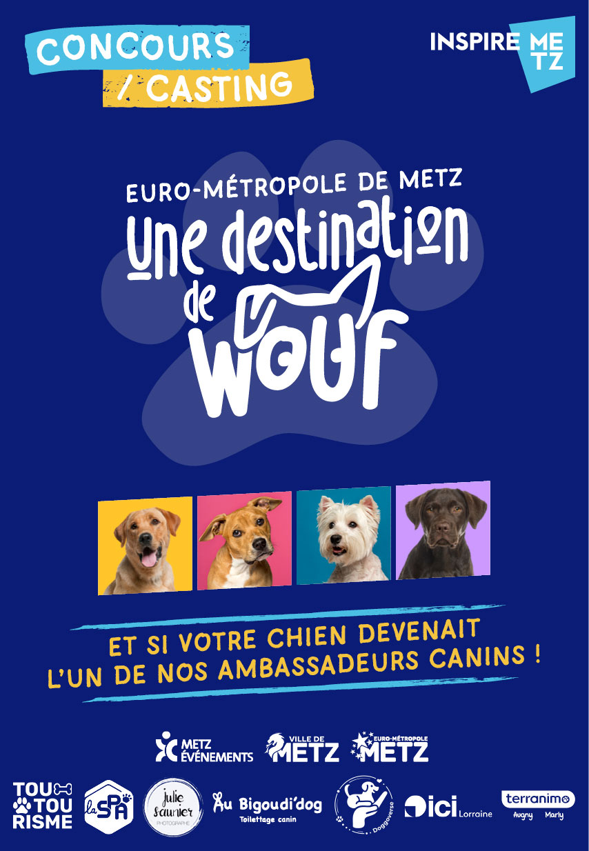 Casting de Woof : votre chien fait chavirer les cœurs ? Il pourrait devenir l’un des ambassadeurs canins de l’Euro-Métropole de Metz !